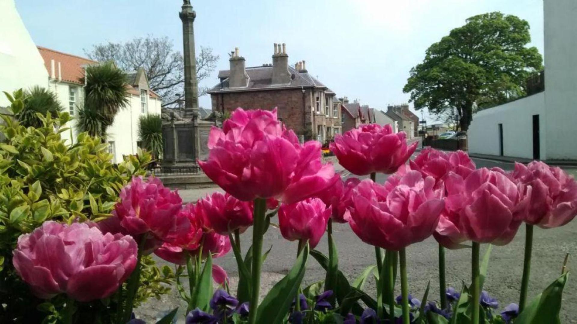 Harbourside Cottage North Berwick Ngoại thất bức ảnh